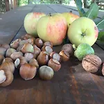 Zawodzie 20 Γκντανσκ