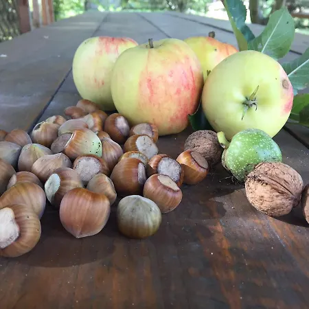 加斯特旅馆 格但斯克